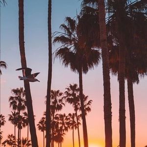 Meet your Posher, Trina